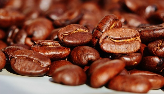 FIGARO COFFEE helps local farmers and saves the Barako coffee bean from extinction