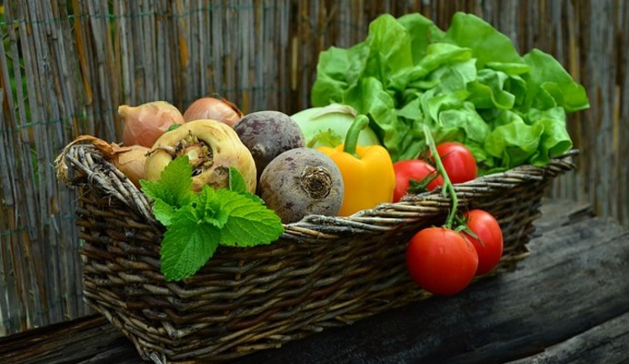 ALPROSOYA promotes healthy and ecologic food
