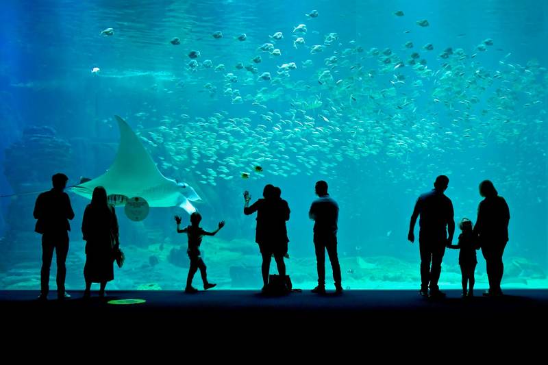 Nausicaa, National Sea Center, is committed to raising awareness and educating about the environment
