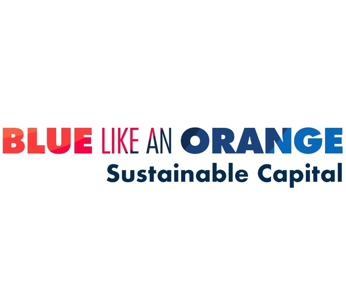 BLUE LIKE AN ORANGE SUSTAINABLE CAPITAL