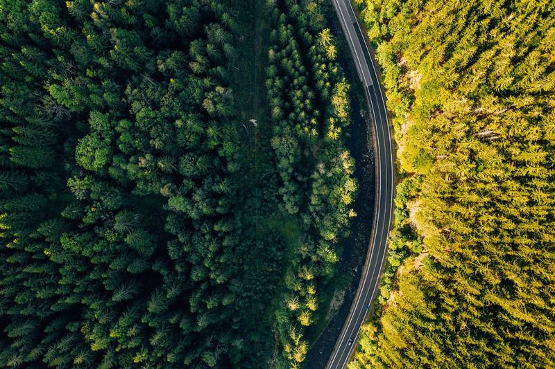 BIOCARBON PARTNERS: offsetting forest carbon to serve the ecosystem and communities