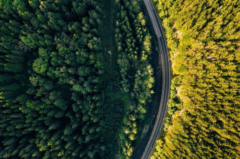 BIOCARBON PARTNERS : la compensation de carbone forestier au service de l’écosystème et des communautés