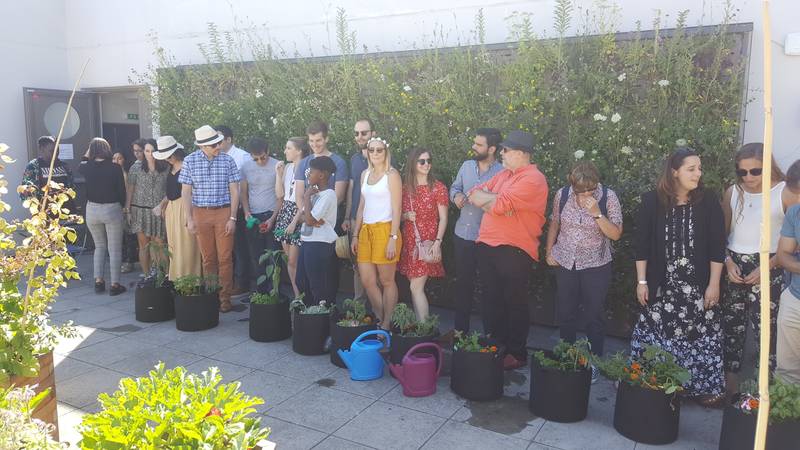 CUEILLETTE URBAINE: vegetable gardens in companies or how to combine responsible practices and social links