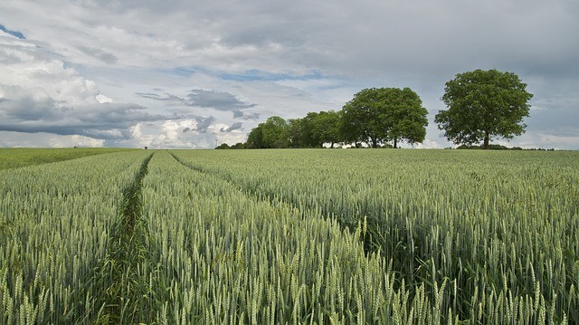 GROUPE AVRIL (SOFIPROTEOL) lance la marque oléo pro pour valoriser les producteurs de la filière auprès du consommateur