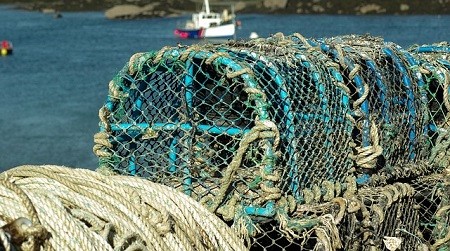 Delhaize Belgium and WWF work hand in hand for sustainable seafood.
