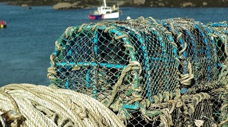 Partenariat entre DELHAIZE Belgique et WWF pour une pêche durable