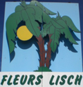 FLEURS LISCH