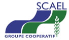 SCAEL GROUPE COOPERATIF