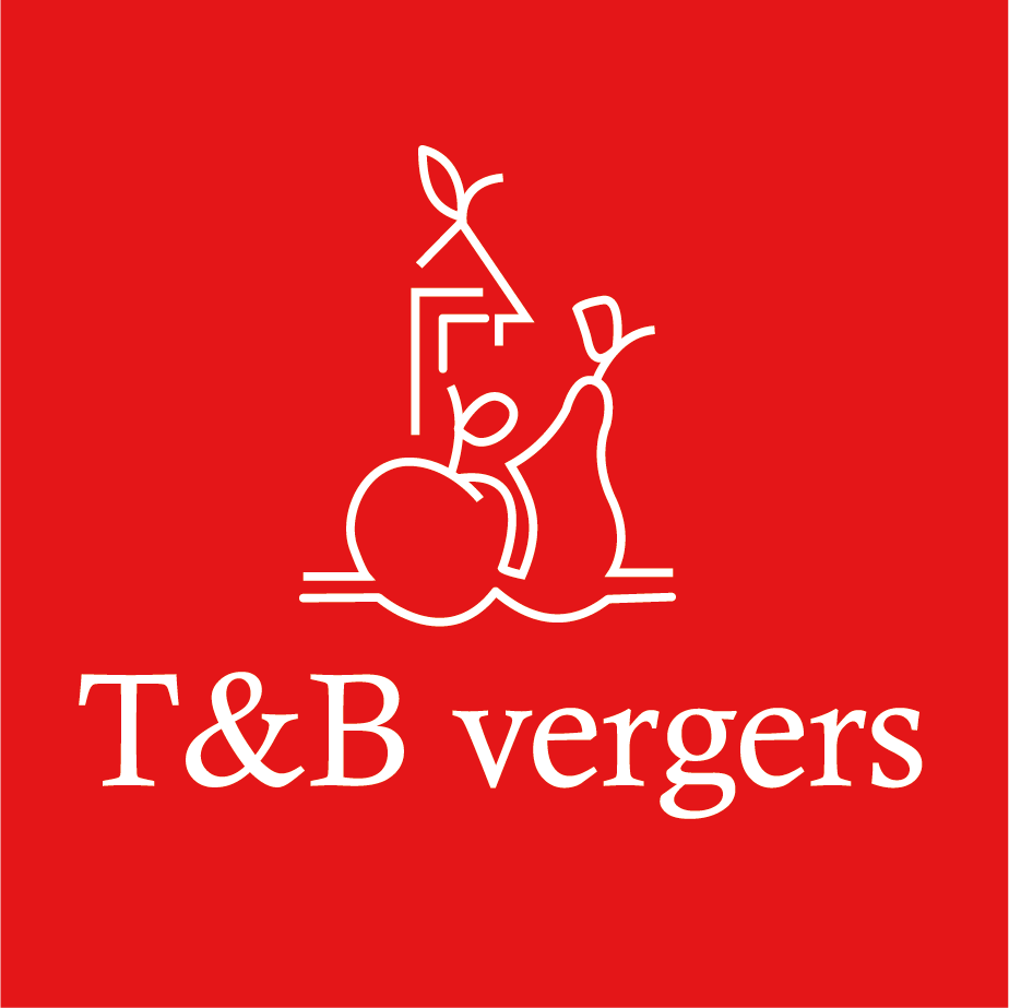 T&B Vergers