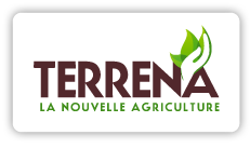 TERRENA